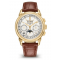 Patek Philippe Complications Moonphase Gold Edition (5270P)