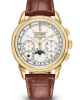 Patek Philippe Complications Moonphase Gold Edition (5270P)